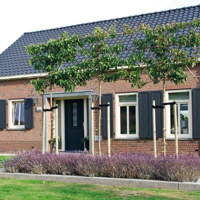Kunststof Kozijnen en Deuren in Parkstad: Kwaliteit en Comfort met SMEBO